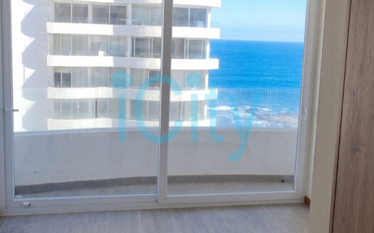 Arriendo Moderno Departamento Estudio Distrito Cavancha 2