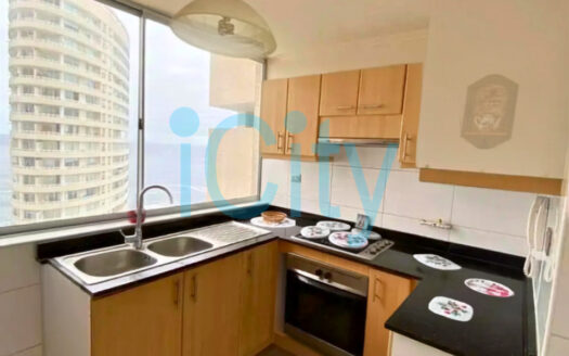 Arriendo Increíble Departamento Edificio Nautilus