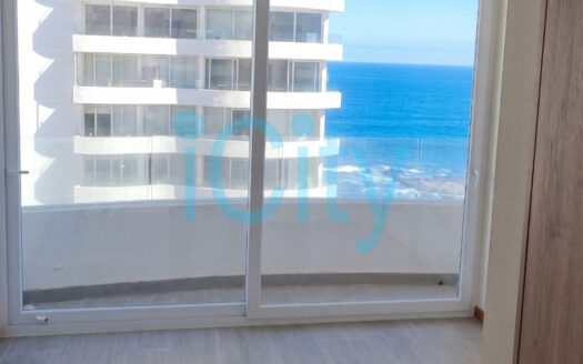 En Arriendo: Departamento Estudio Un Ambiente Distrito Cavancha