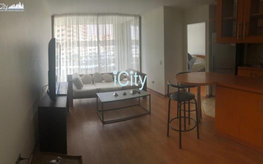 VENDIDO Departamento 1 dormitorio en Las Antillas