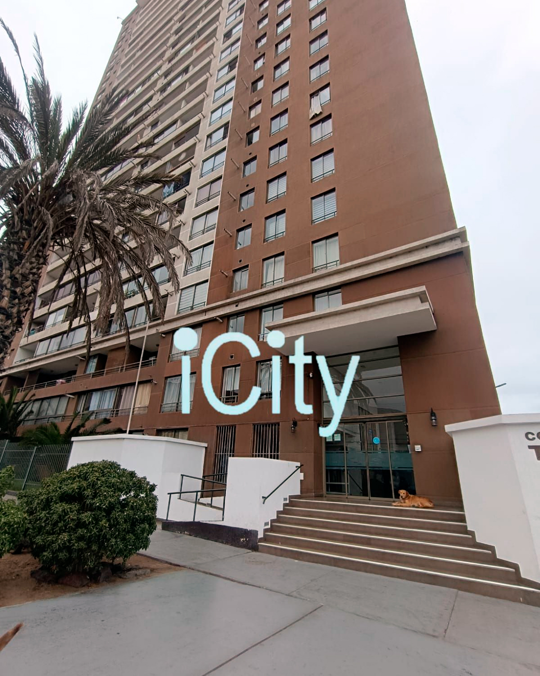 Arriendo Departamento Edificio Tadeo Haenke