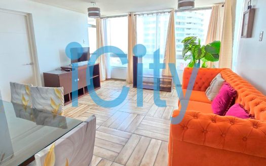 Arriendo Amoblado Edificio Nautilus Vive frente al mar