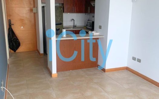 Arriendo Departamento Punta cavancha