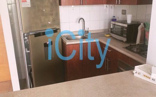 Arriendo Departamento Punta cavancha