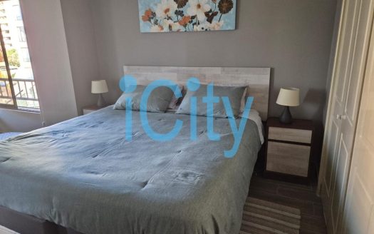 Arriendo Departamento Amoblado Las Antillas